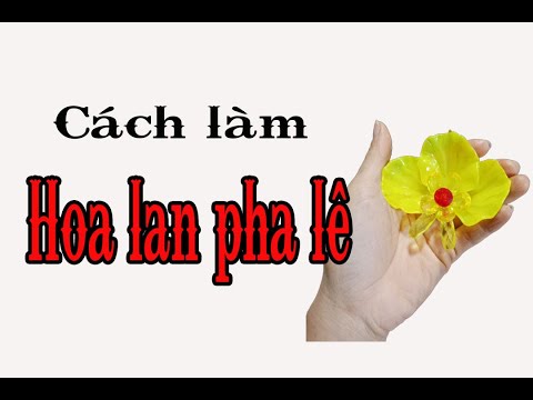 Hoa Lan Tết 2020 | Cách Làm Hoa Lan Hồ Điệp Pha Lê | Hoa Pha Lê | Thanh Vân Flower