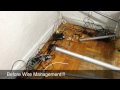 cable supply