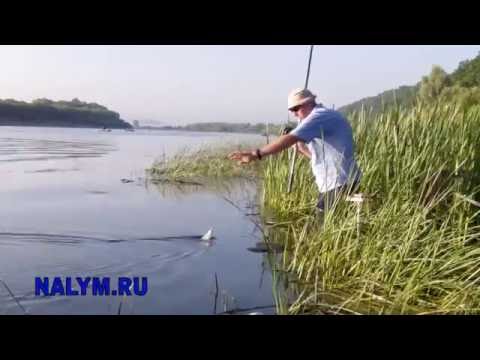 матчевые оснастки и монтажи от нормунда грабовскиса матчевые оснастки и монтажи от нормунда грабовскиса