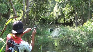 Ternyata Di Semak-Semak Ini