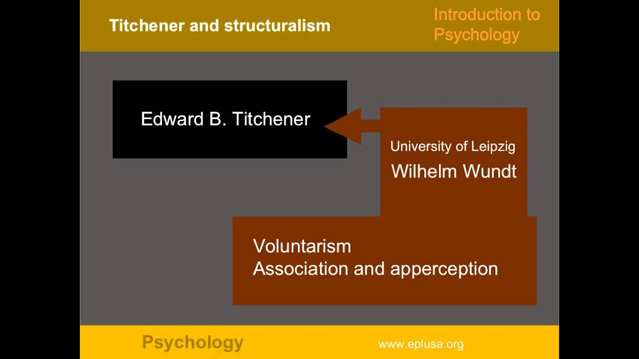 maxresdefault jpg structuralism psychology