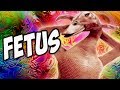 FETUS PICS! / Fridays With PewDiePie FETUS PICS! / Fridays With PewDiePie