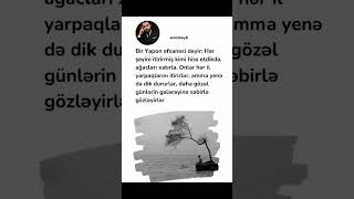 Whatsapp Üçün Maraqlı Mənalı Statuslar Yeni