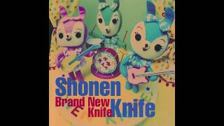 Watch Shonen Knife Buddhas Face video