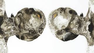 Sleater-Kinney - No Knives (Official Audio)