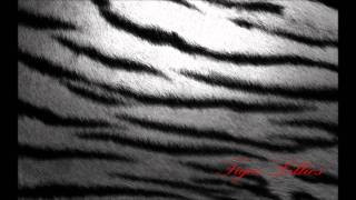 Watch Tiger Lillies Forever Together video