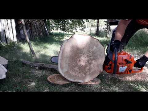 Husqvarna 365 xtorq with 24 Bar VS big wood #2.