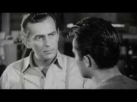 The Atomic Life: A Film History of Cold War Hysteria