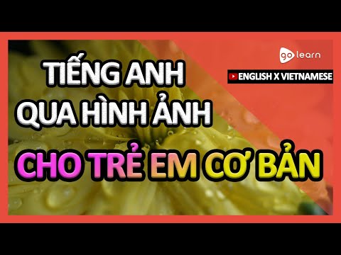 Học Tiếng Anh Qua Hình Ảnh |Từ Vựng Tiếng Anh Cho Trẻ Em Cơ Bản | Golearn