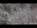 脊振山に樹氷、天山初冠雪