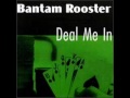Bantam Rooster - Panther
