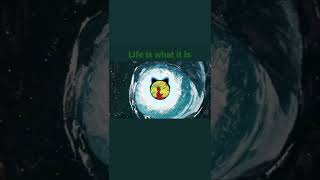 Sumomo- Life Is a Miracle- visualizer 