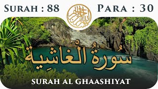 88 Surah Al Ghashiya  | Para 30 | Visual Quran With Urdu Translation