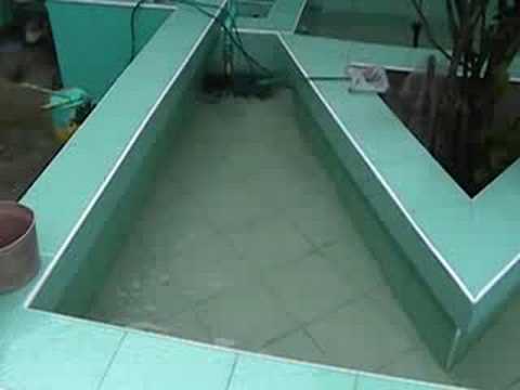 rexer's koi pond now...