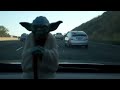 Yoda Enjoying Dave's Picks Volume 3