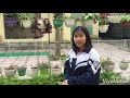 | Khi tôi là phóng viên - A9K53 | - NHÀ VỆ SINH KIỂU MẪU CỦA TRƯỜNG HỌC
