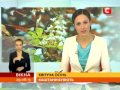 Видео По всій Україні йдуть дощі, а в Донецьку -- весна - Вікна-новини - 29.08.2013