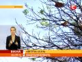 Video По всій Україні йдуть дощі, а в Донецьку -- весна - Вікна-новини - 29.08.2013