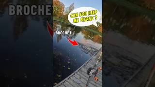 Le Début Dune Amitié ?
