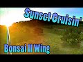 Sunset Cruisin' | Full Lipo Uncut | Hobbyking Bonsai II FPV wing | DVR
