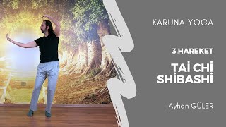 Tai Chi Shibashi - 3.Hareket