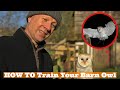 HOW TO: Train your BARN OWL, Owl Training, Owl Babies, Falconry Training, Barn Owl Flying