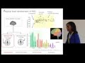 Neurobiological changes in autism spectrum disorders