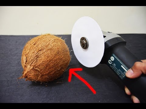 MUSTAHIL! APAKAH BISA KERTAS MEMOTONG KELAPA - EKSPERIMEN