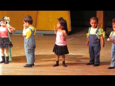 Lakdi ki kathi - Anishka Redbricks Annual Day 2014
