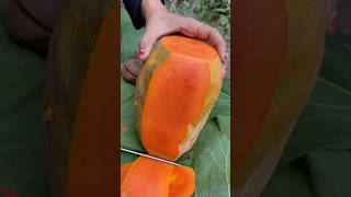 Cara Kupas Pepaya