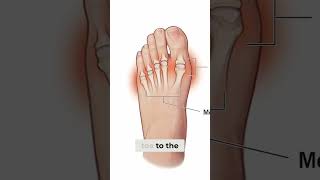 They Tortured My Feet Unbearable Foot Pain Explained Ig