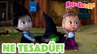 Maşa İle Koca Ayı - Ne Tesadüf Masha And The Bear Turkey
