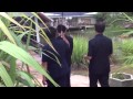 เลขา
