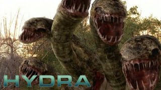 Hydra 2009 Kill Count
