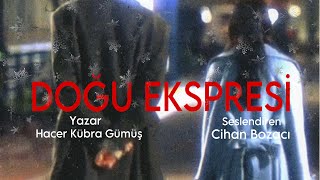 Doğu Ekspresi̇ 5.Bölüm - Sesli̇ Ki̇tap - Fi̇nal