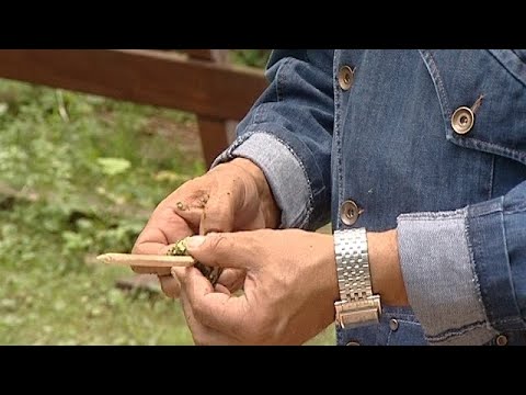 Огненная еда - Выпуск 3 Огненная еда - Выпуск 3