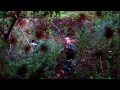 1969 Vietnam War Short Film 1969 Vietnam War Short Film