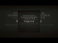Vandalism & Tommie Sunshine - Forever ft. Disco Fries (LA Riots Remix)
