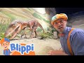 Blippi Visits the Pacific Science Center | Learning Animals For Kids | Moonbug Kids
