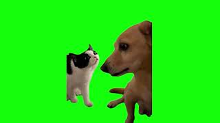 Green Screen Cat and Dog Meme