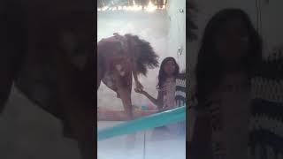 Eu E Minha Prima Arrumando Meu Quarto