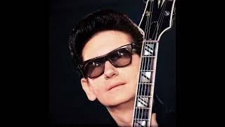 Watch Roy Orbison I Dont Really Want You video