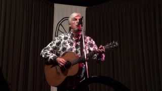 Watch Robyn Hitchcock Man With A Womans Shadow video