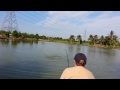 Fishing Tour Package !!! Predators Fishing !!! Arapaima Thailand By BKKGUY