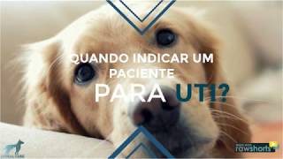 QUANDO INDICAR UM PACIENTE PARA UTI