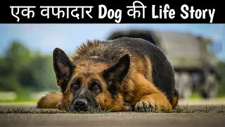 A Dog Named Palma | Movie Explained in Hindi | Sad & Emotional Movie | 6.9/10 IM