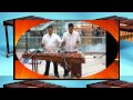 AL SON DE LA MARIMBA Rogmeld 2012 Vive la Música !!