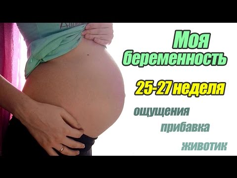 27 неделя беременности девочки