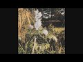 Ranker Video