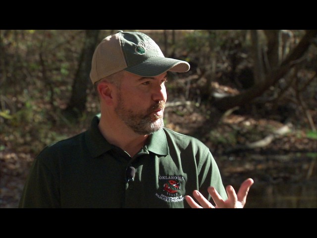 Watch New ODWC director, JD Strong. Cookson WMA bio-survey on YouTube.
